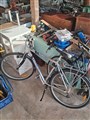 20251013_102550.jpg