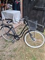 20260819_110039.jpg
