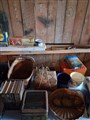 20260819_110813.jpg